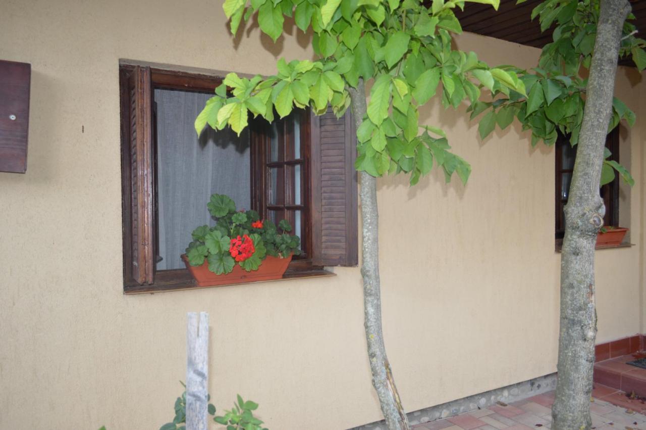 La Mos Pavel Hotel Noslac Luaran gambar